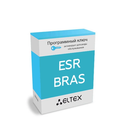 Eltex ESR-BRAS