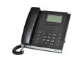 Eltex VP-17P