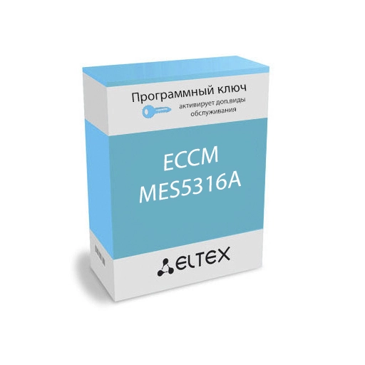 Eltex ECCM-MES5316A