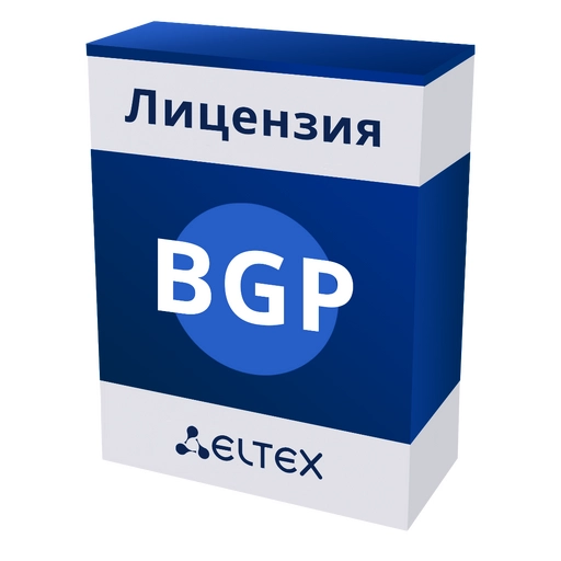  MES-BGP
