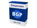 MES-BGP