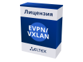 MES-EVPN