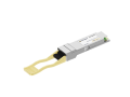 Empty OPT-100M01